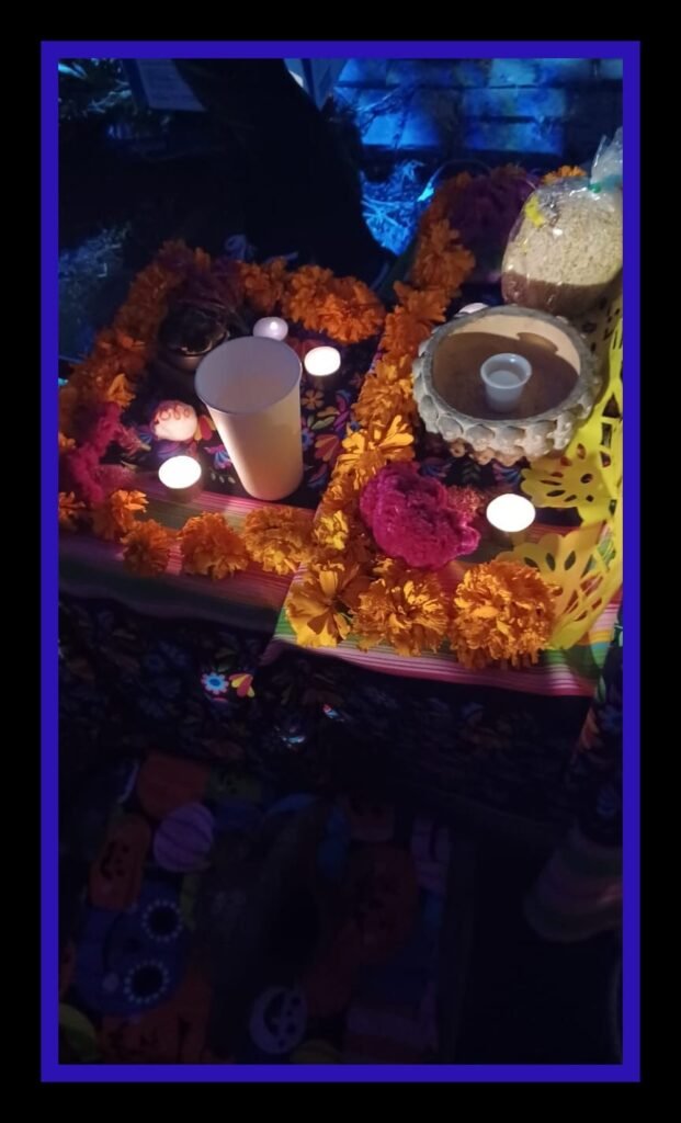 WhatsApp Image 2025-12-13 at 22.34.26_002eaa84