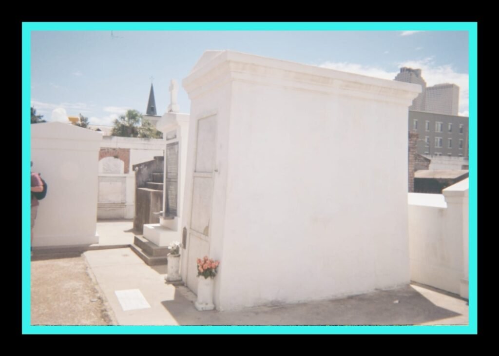 WhatsApp Image 2025-12-14 at 08.36.36_36353d7a